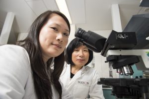 Dr Sophea Heng and Professor Guiying Nie is paving the way for an endometrial cancer early detection test.
