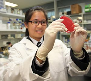 Student from John Monash Science School examining petri dish 