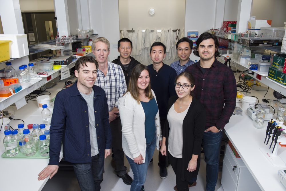 Brendan Jenkin's lab group at Hudson Institute
