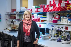 Professor Lois Salamonsen is studying infertility to improve the rate of IVF