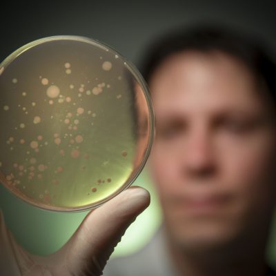 Dr Samuel Forster holding a bacterial agar plate showing anaerobic bacteria at the Hudson Institute
