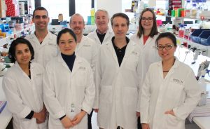 Paediatric Precision Medicine Program researchers at Hudson Institute of Medical Research