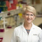 Professor Kate Loveland from the Testis Development and Male Germ Cell Biology Research Group at Hudson Institute