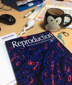 The January edition of 'Reproduction' with Dr James Deane's cell image featured on the cover