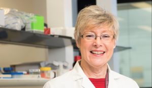 Professor Caroline Gargett and her team sought to determine whether regenerative cells called endometrial epithelial progenitor cells could be the initiator of the abnormal growth of cells in endometriosis lesions.
