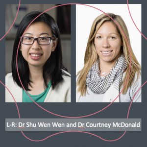 Dr Shu Wen Wen and Dr Courtney McDonald also win a collaborative grant.