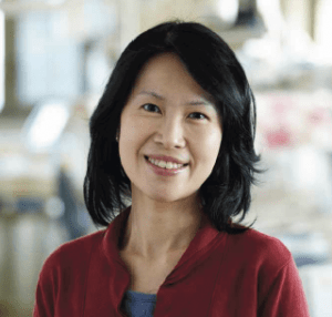Associate Professor Flora Wong has been recognised with academic promotions at Monash University