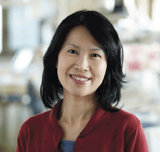 Associate Professor Flora Wong