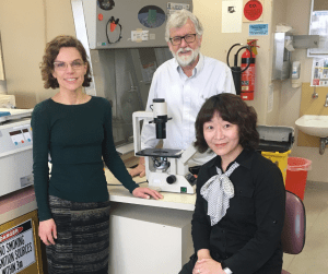 Dr Morag Young, Professor Peter Fuller, Yi Zhou Yao - Hormonal salt regulation.