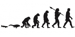 Graphical depiction of evolution from sea to land.