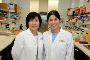 Professor Guiying Nie and Dr Yao Wang have found a link between the placenta and preeclampsia.