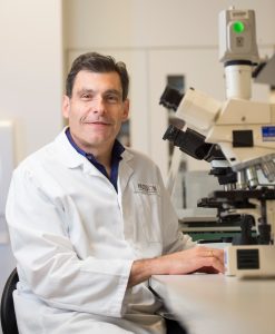 Professor Richard Ferrero studies a rare blood cancer known as MALT lymphoma to keep stomach cancer at bay.