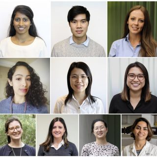 Ten PhD students selected for the first time to participate in the high-level mentoring program, IMNIS