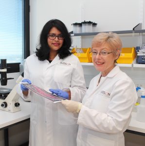 Dr Shayanti Mukherjee and Professor Caroline Gargett working in the lab on pelvic organ prolapse treatments. 