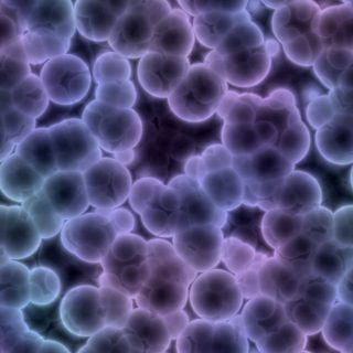 Purple cell image