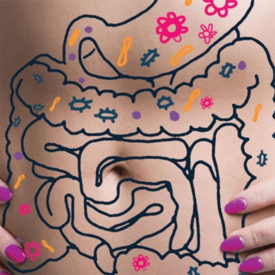 Intestines image featured on Hudson Institute's gastroenteritis disease page.