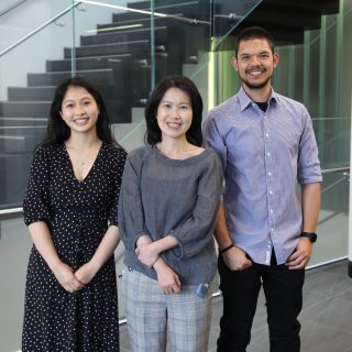 Associate Professor Flora Wong, together with Dr Ishmael Inocencio and Ms Nhi Tran, has discovered that following increased brain activity, blood vessels in the immature preterm brain respond differently compared to those in the term brain.