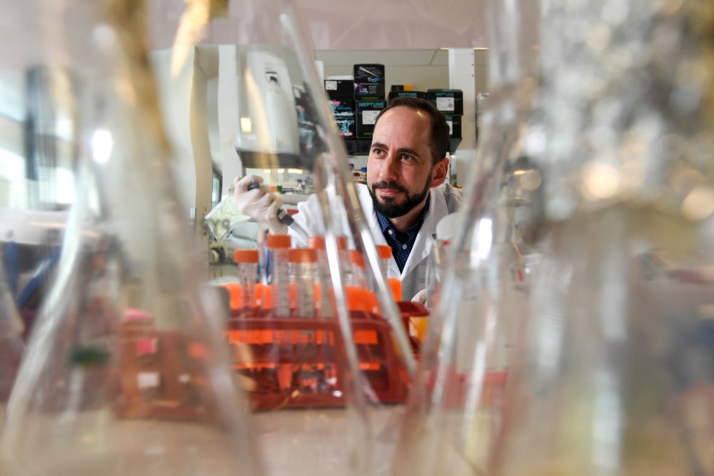 Dr Michael Gantier in the lab at Hudson Institute