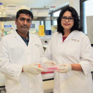 Hudson Institute researchers, Dr Kallyanashis Paul and Dr Shayanti Mukherjee, developing a new cell therapy treatment for pelvic organ prolapse.