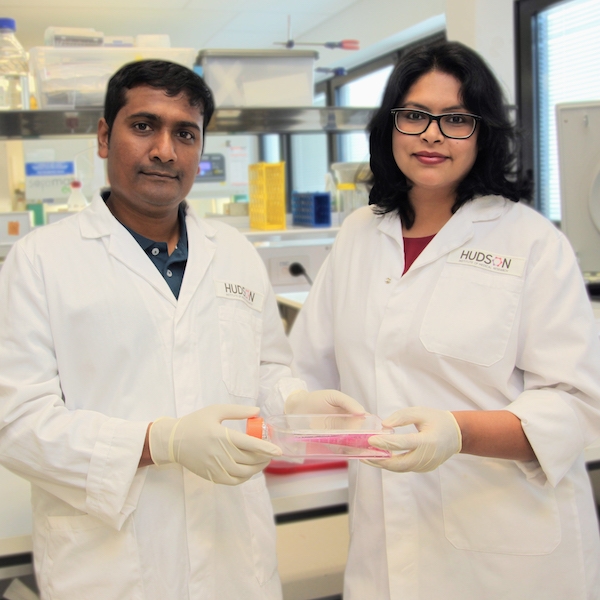 Hudson Institute researchers, Dr Kallyanashis Paul and Dr Shayanti Mukherjee, developing pelvic organ prolapse prevention and cure.