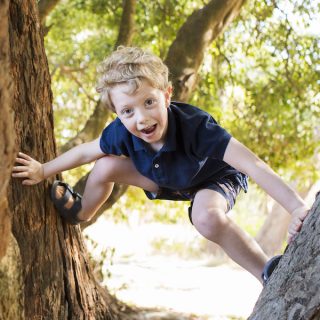 Lachy Kinsella, climbing a tree and living life after battling childhood cancer at a very early age.