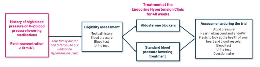 REMASTER Trial - Hypertension with low renin Service Flowchart