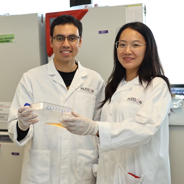 Dr Paul Daiel and Dr Claire Sun at Hudson Institute working on curing childhood cancer.