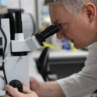 Dr Andrew Stephens looking at ovarian cancer specimens in the lab at Hudson Institute