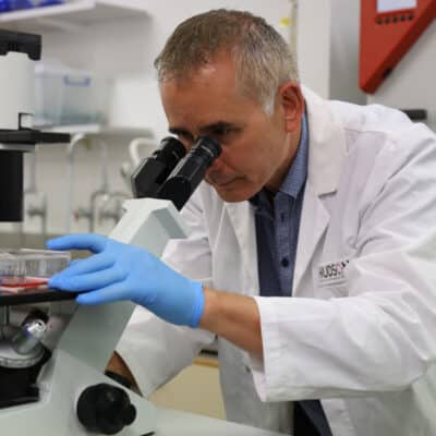 Dr Simon Chu looking down a microscope in the ovarian cancer research lab at Hudson Institute