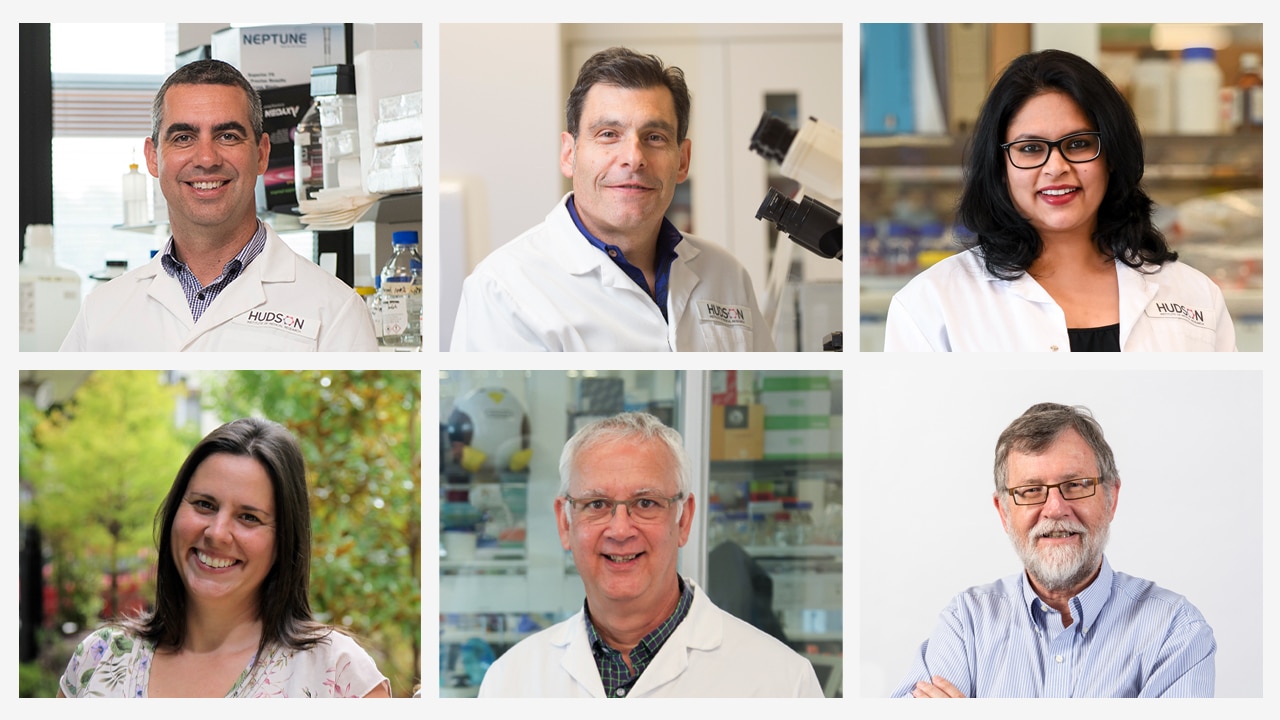 Hudson Institute researchers have had some great success in the recent NHMRC Grant rounds.