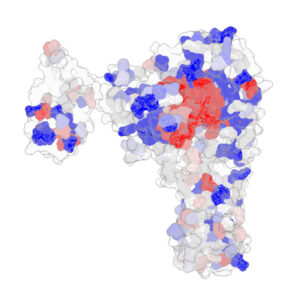 Distribution of highly active (red) and inactive (blue) variants on NLRP3 structure based on our research.